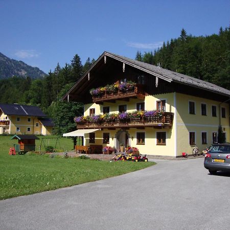 Apartament Pferdehof Almgut Faistenau Zewnętrze zdjęcie
