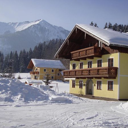 Apartament Pferdehof Almgut Faistenau Zewnętrze zdjęcie